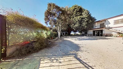 /international/es/crevillent-valencian-community-310100713862/
