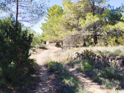 /international/es/poligono-08-portimao-catalonia-310106794996/