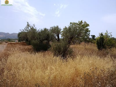 /international/es/l-alfas-del-pi-valencian-community-310109460846/