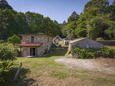 /international/es/pineiro-tomino-galicia-310101130699/