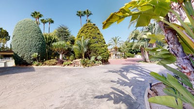 /international/es/elche-valencian-community-310106426335/