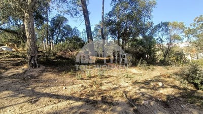 /international/es/carrer-platja-d-aro-10-17310-lloret-de-mar-girona-lloret-de-mar-catalonia-310102725084/