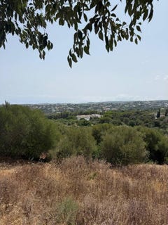 /international/es/sotogrande-andalusia-310110291268/