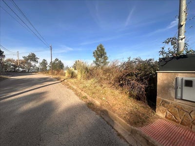 /international/es/macanet-de-la-selva-catalonia-310100644527/