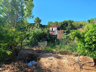 /international/es/turis-valencian-community-310108598252/