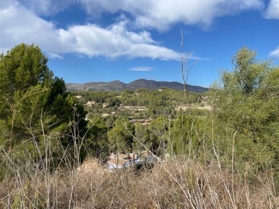 /international/es/calpe-calp-valencian-community-120091545265/