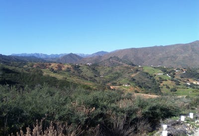 /international/es/la-cala-golf-andalusia-310100907275/