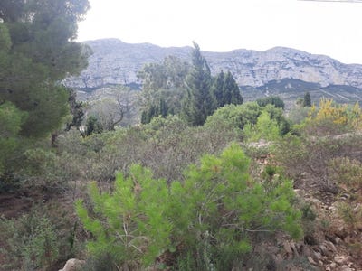/international/es/denia-valencian-community-310107902816/