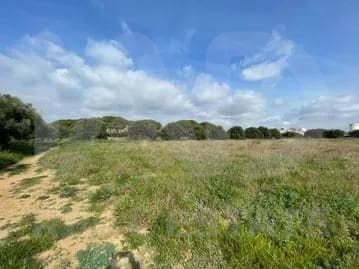/international/es/cambrils-catalonia-310107498845/