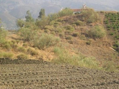 /international/es/sedella-andalusia-120094748997/