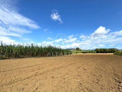 /international/es/poligon-sector-riera-roquet-palafolls-catalonia-310105895508/