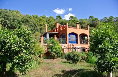 /international/es/istan-andalusia-310106483481/