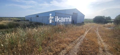 /international/es/toledo-castile-la-mancha-310100640845/