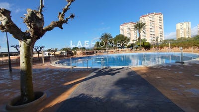 /international/es/el-campello-valencian-community-310108668986/