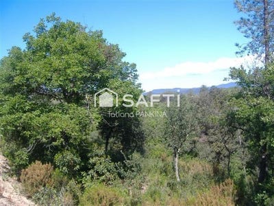 /international/es/fogars-de-la-selva-catalonia-310105739212/