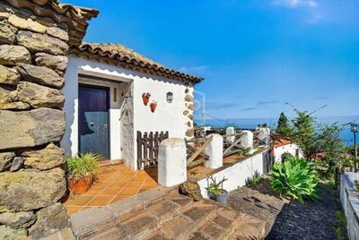 /international/es/icod-de-los-vinos-canary-islands-310108459095/