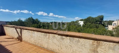 /international/es/alicante-valencian-community-310099709890/