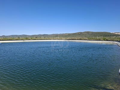 /international/es/ulldecona-catalonia-310107500353/