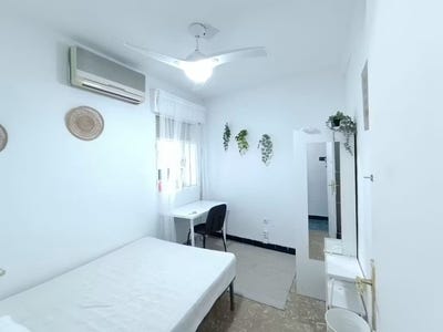 /international/es/calle-san-pedro-martir-sevilla-andalusia-310108667707/