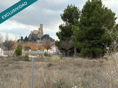 /international/es/almansa-castile-la-mancha-310108939433/