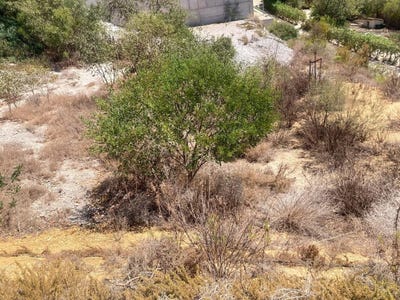 /international/es/mojacar-andalusia-310109535045/