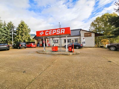 /international/es/truchas-castile-and-leon-310107581897/