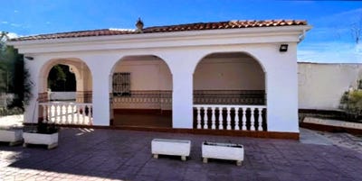 /international/es/elche-valencian-community-310108899832/?lang=es