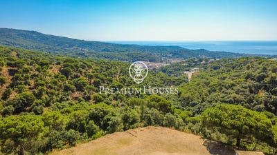 /international/es/sant-andreu-de-llavaneres-catalonia-310101226183/?lang=zh-cn