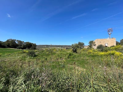 /international/es/diseminado-poligon-27-228-07500-illes-balears-spain-manacor-balearic-islands-310101732190/