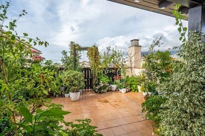 /international/es/estepona-andalusia-310108787513/