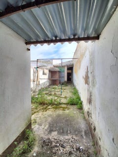 /international/es/manzanilla-andalusia-310107702252/