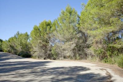 /international/es/11-carrer-llucamet-palma-de-mallorca-balearic-islands-310101735362/
