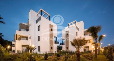 /international/es/oliva-valencian-community-310107012433/