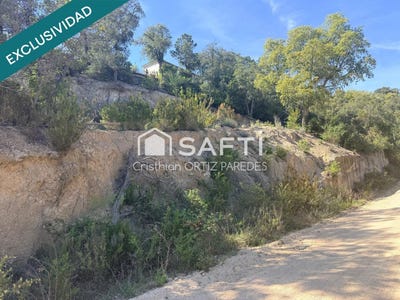 /international/es/lloret-de-mar-catalonia-310107737388/