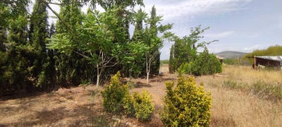 /international/es/ulldecona-catalonia-310106066775/