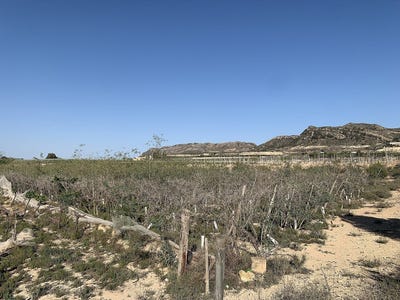 /international/es/monforte-del-cid-valencian-community-310108954757/?lang=fr