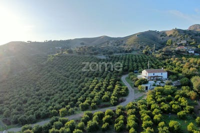 /international/es/alora-malaga-andalusia-120081797823/