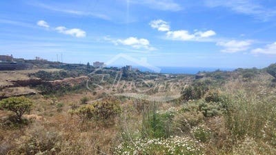/international/es/san-miguel-de-abona-canary-islands-120094555904/