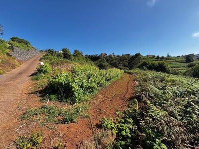 /international/es/sauzal-el-canary-islands-310109124672/