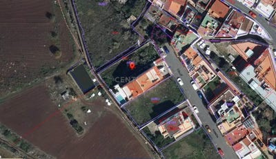 /international/es/palmas-de-gran-canaria-las-canary-islands-310102954663/