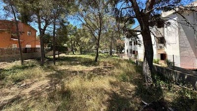 /international/es/santa-ponsa-balearic-islands-310100041626/?lang=it