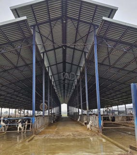 /international/es/sotillo-de-abajo-lucillos-castile-la-mancha-310108421244/