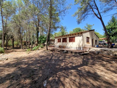 /international/es/villalonga-valencian-community-310103701992/