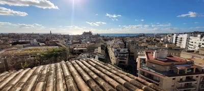 /international/es/12-carrer-del-bisbe-campins-palma-de-mallorca-balearic-islands-310101731897/