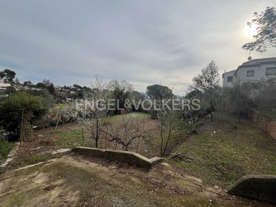 /international/es/rubi-catalonia-310100643278/