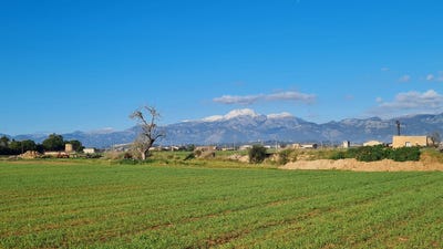 /international/es/8-carrer-comerc-sa-pobla-balearic-islands-310101734135/