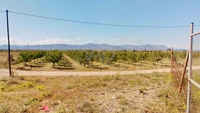 /international/es/partida-el-pou-joa-ulldecona-catalonia-310107420864/