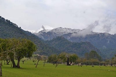 /international/es/campanet-balearic-islands-310103155039/