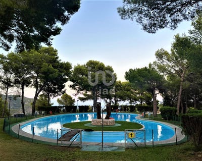 /international/es/castellon-castello-valencian-community-310096787537/
