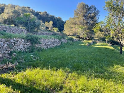 /international/es/cabanes-valencian-community-310108263818/